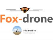Fox drone 1